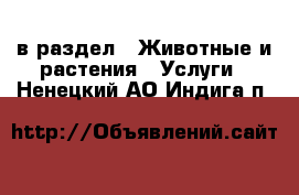  в раздел : Животные и растения » Услуги . Ненецкий АО,Индига п.